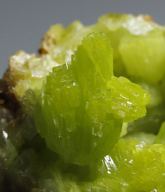 Pyromorphite. 