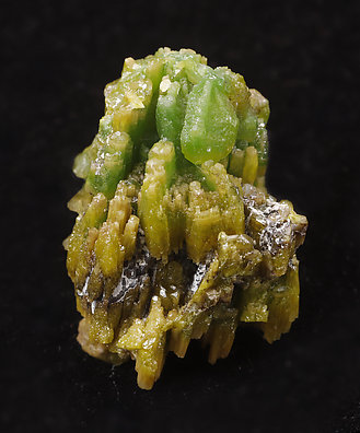 Pyromorphite. 