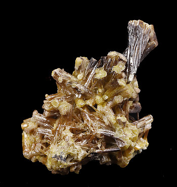 Pyromorphite. 