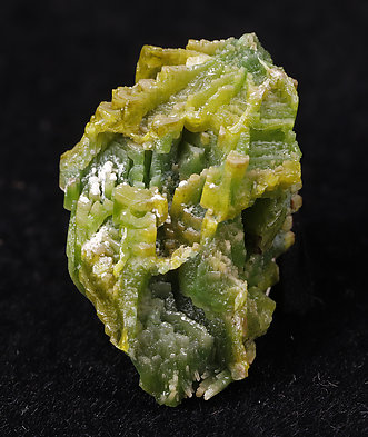 Pyromorphite. 