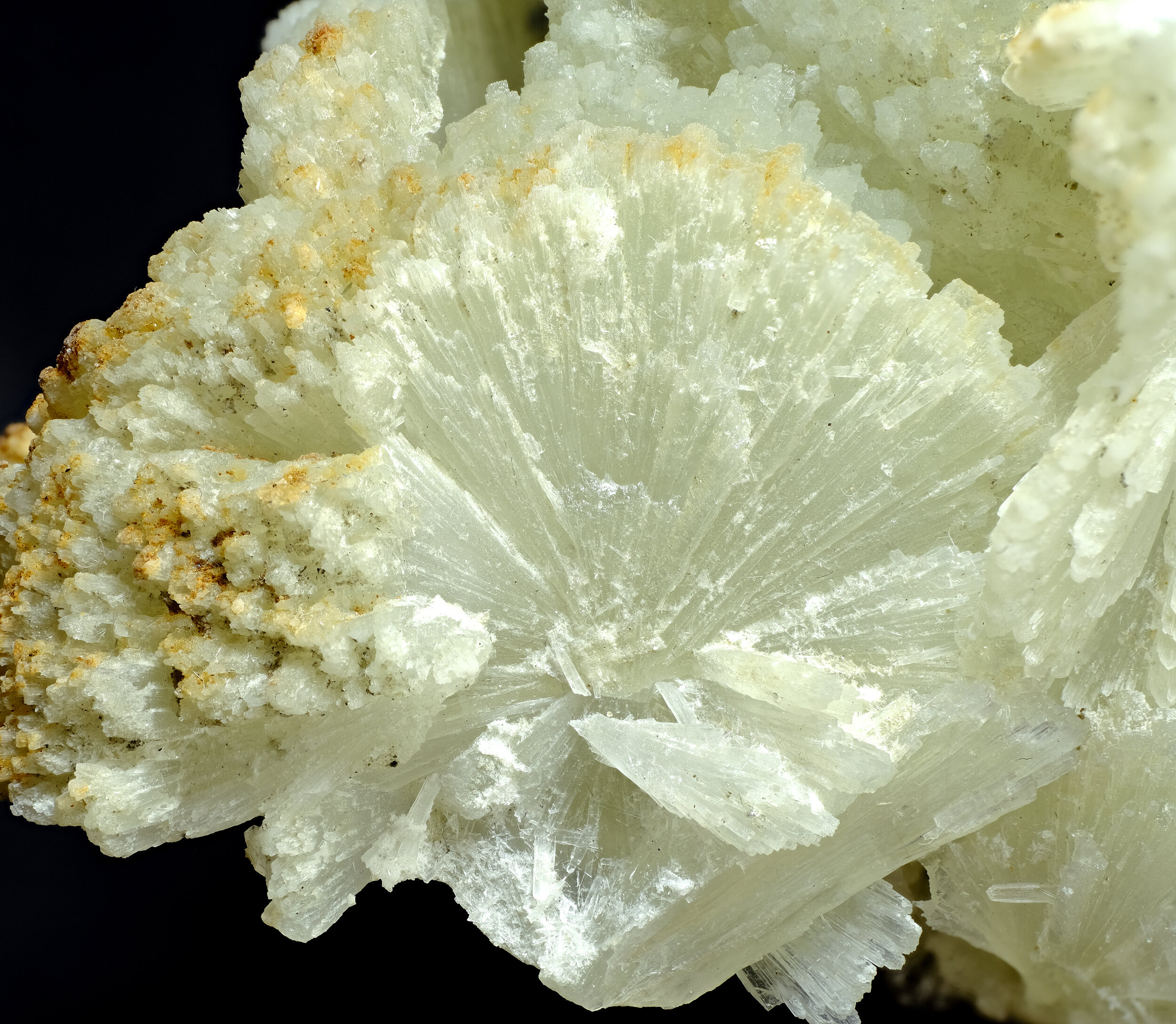 specimens/s_imagesCM/Prehnite_17NRM110_d.jpg