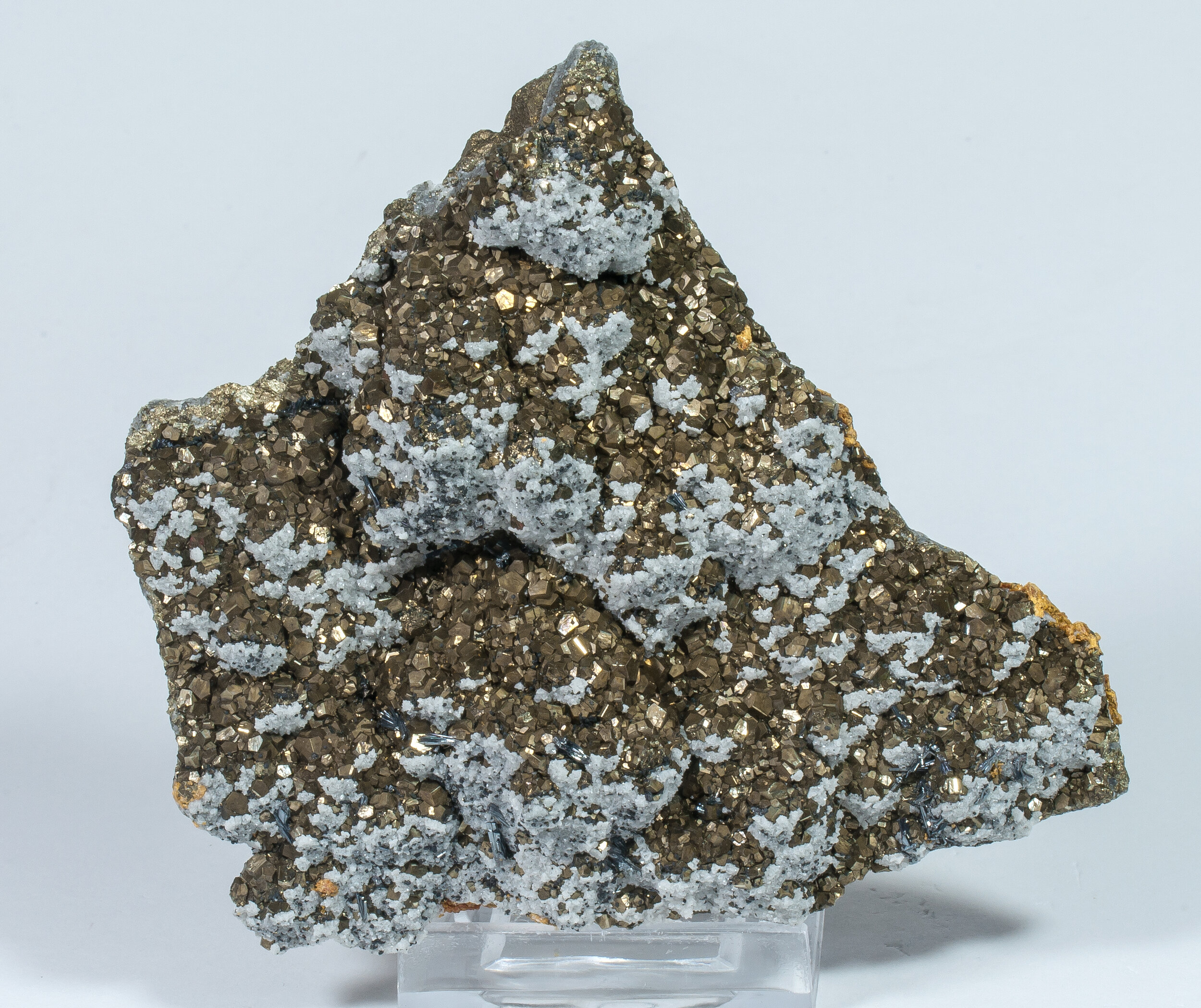 specimens/s_imagesCM/Pyrite-10TBX-1.jpg