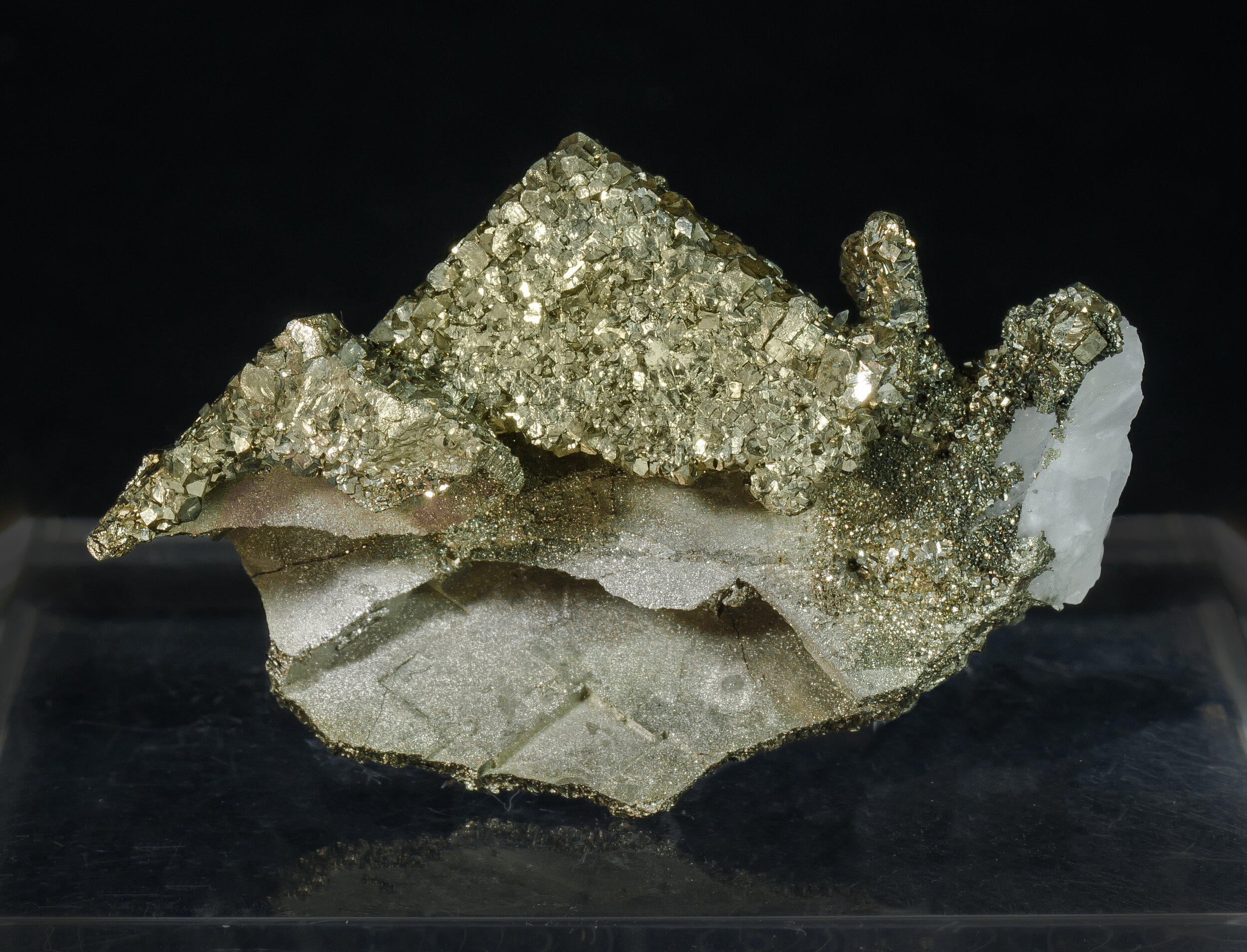 specimens/s_imagesCM/Pyrite-16MJM60_r.jpg