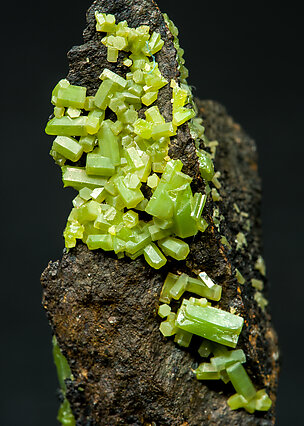 Pyromorphite. 