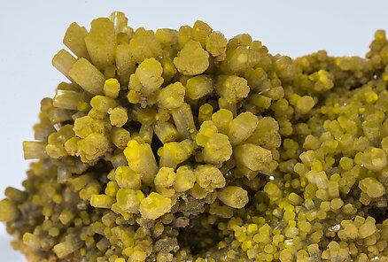 Pyromorphite, Wulfenite. 