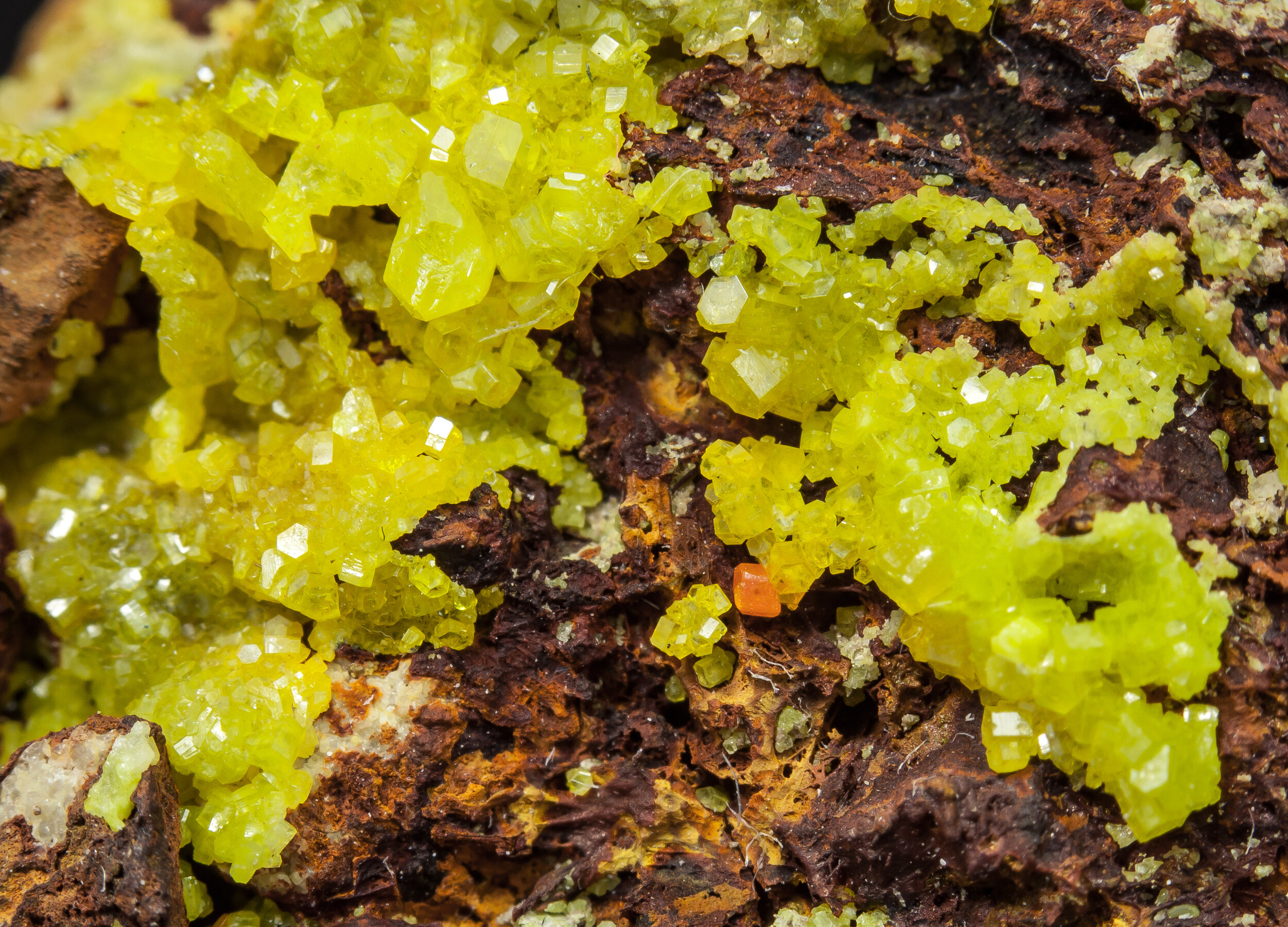 specimens/s_imagesCM/Pyromorphite-21NBX95_d.jpg