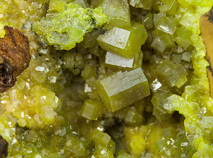 Pyromorphite. Detail