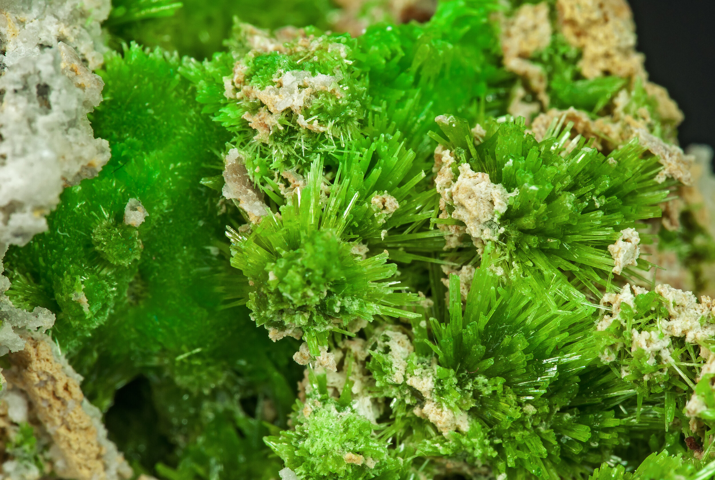 specimens/s_imagesCM/Pyromorphite-23TYB230_d.jpg