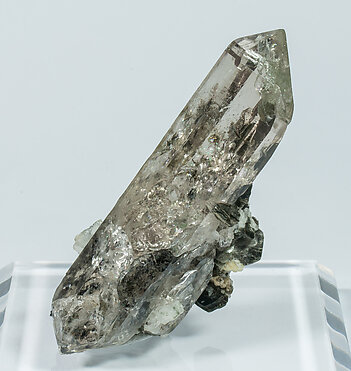 Quartz, Muscovite, Albite. Front