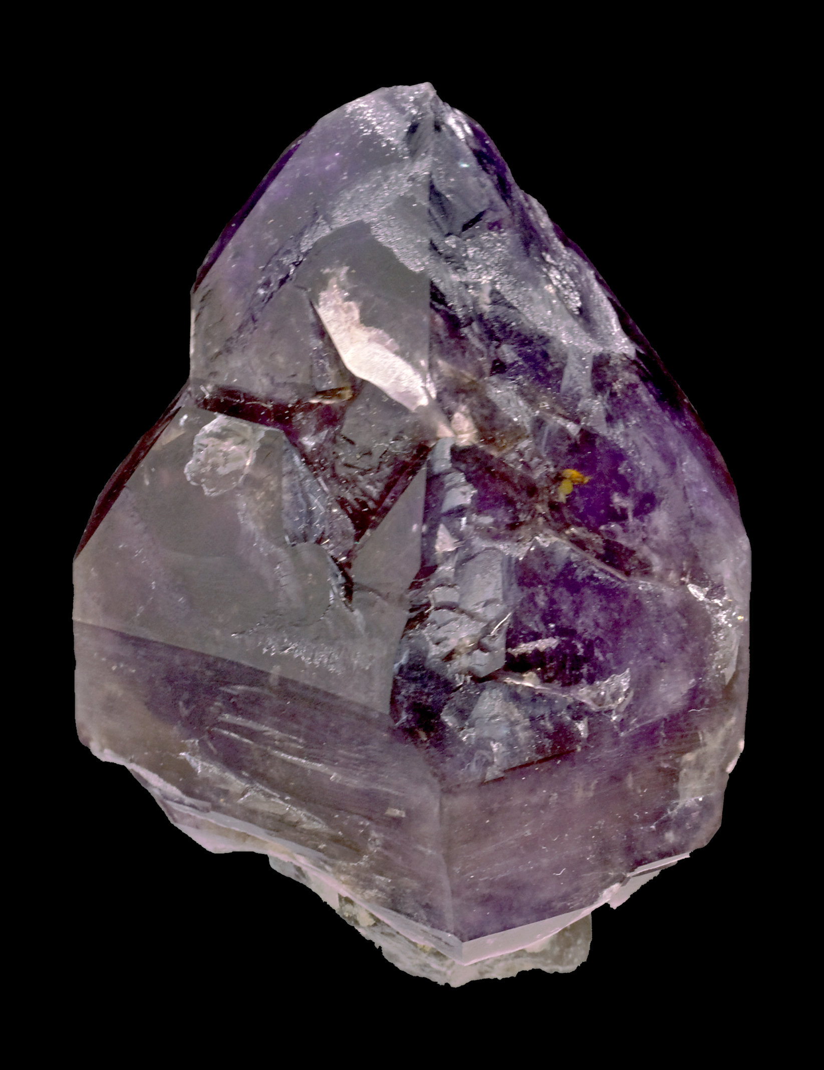 specimens/s_imagesCM/Quartz_Amethyst-8NE66W4f.jpg