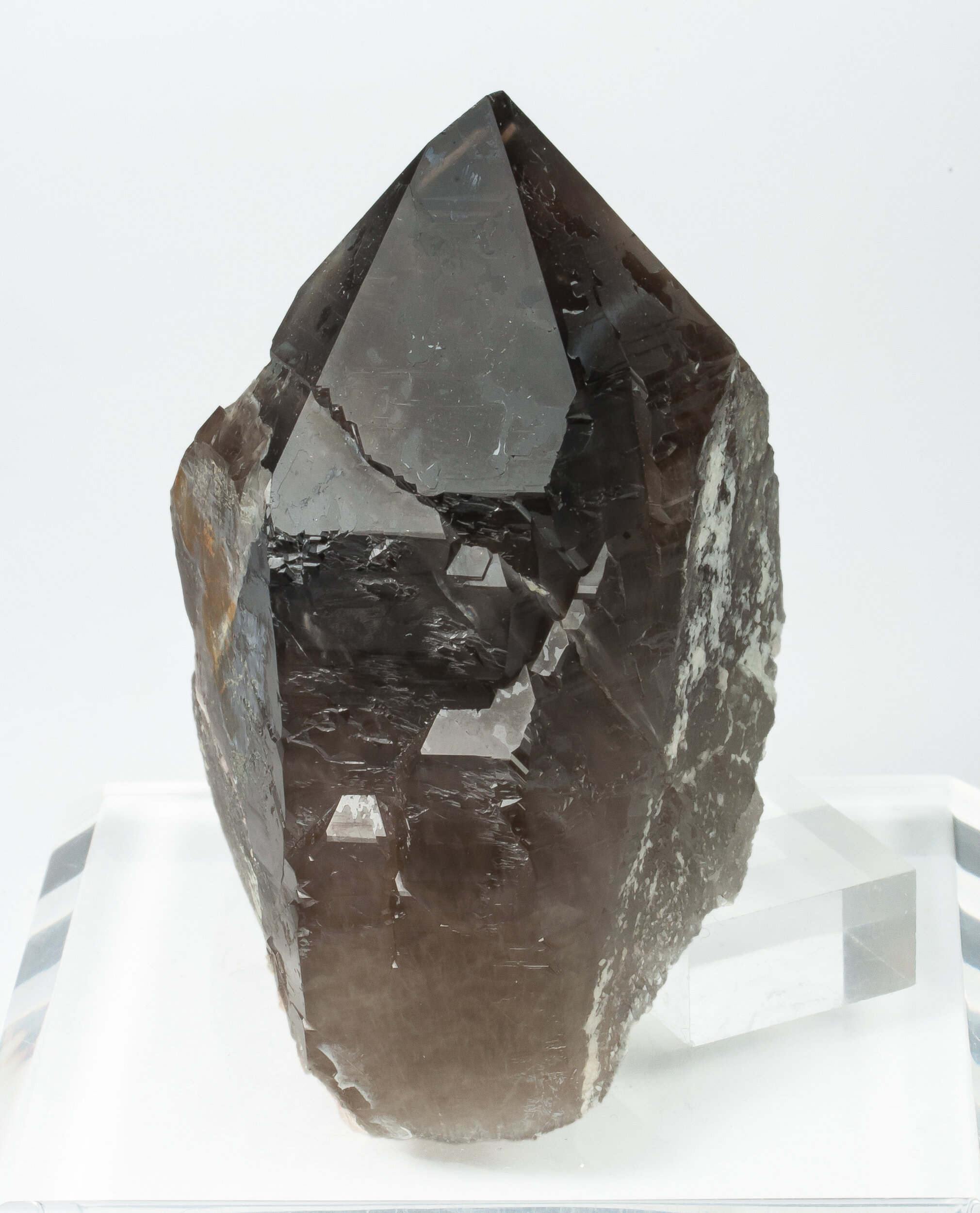 specimens/s_imagesCM/Quartz_smoky-21NAX55_f.jpg