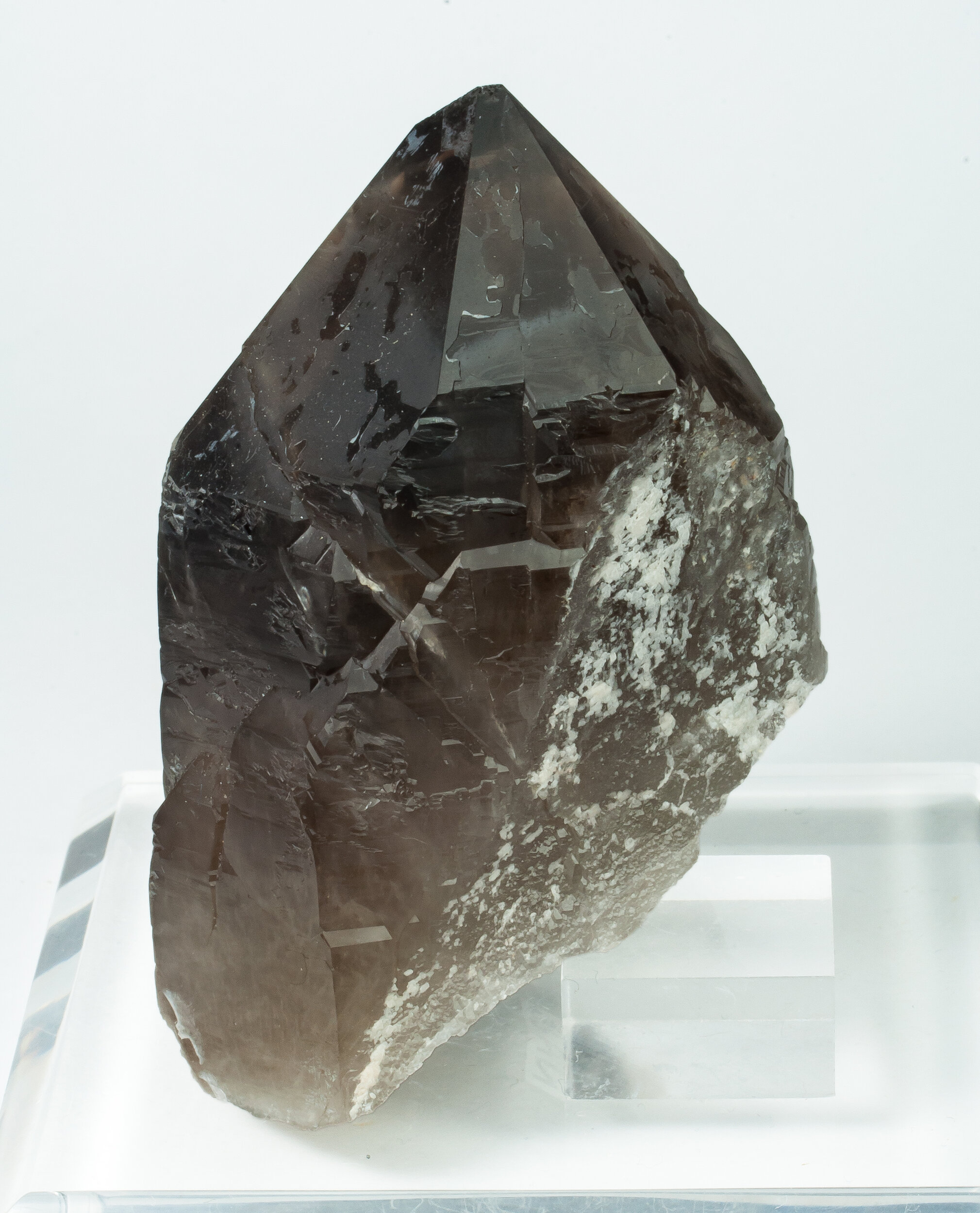 specimens/s_imagesCM/Quartz_smoky-21NAX55_s.jpg