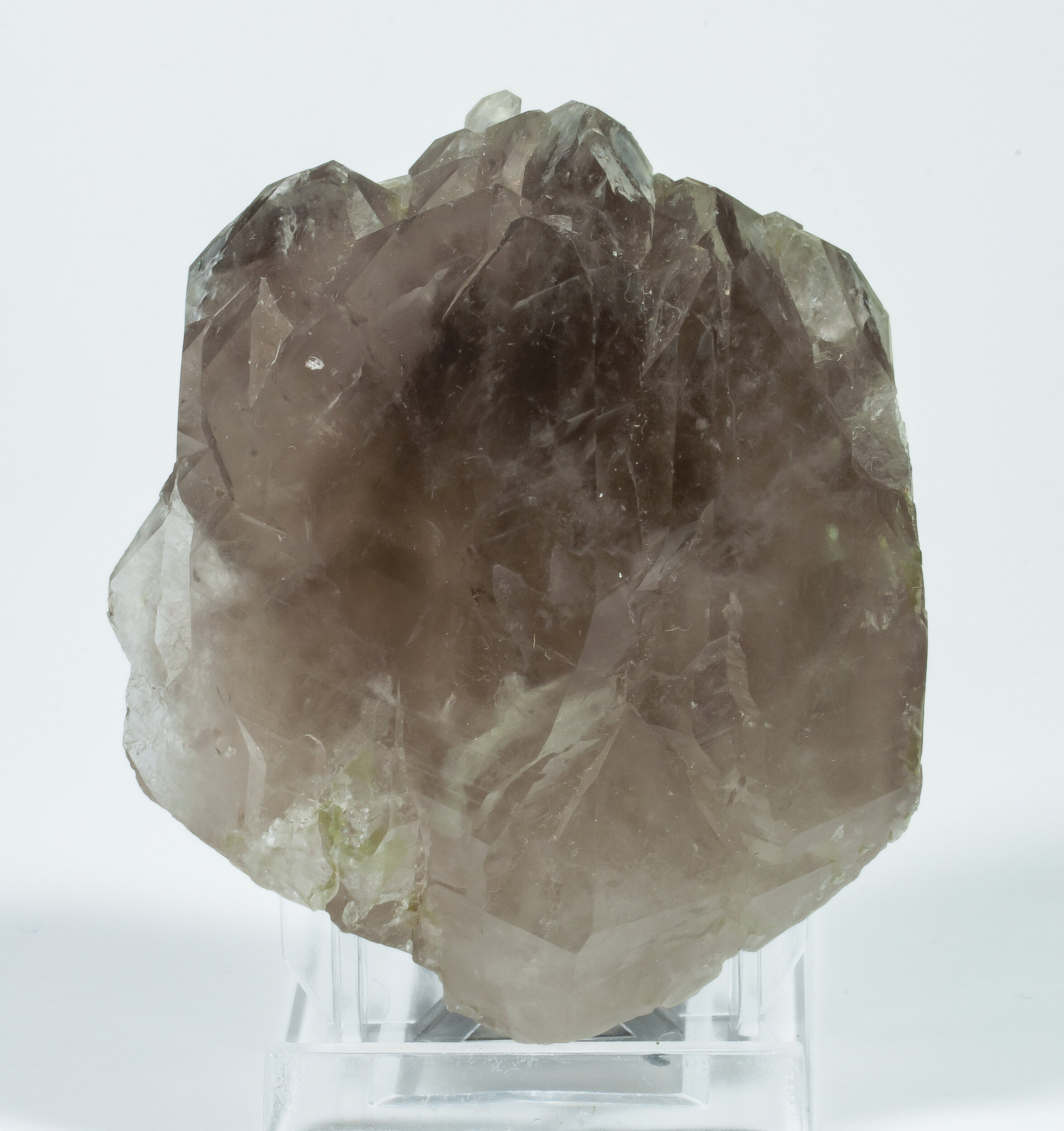 specimens/s_imagesCM/Quartzsmoky-18NA80.jpg