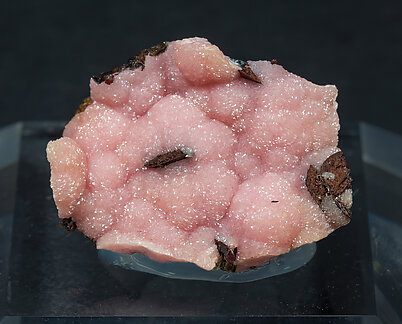 Rhodochrosite, Pyrrhotite, Galena. 