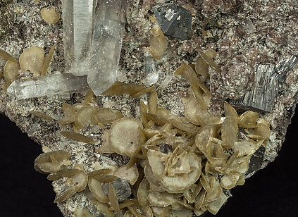 Siderite, Quartz, Arsenopyrite, Muscovite, Pyrite. Detail