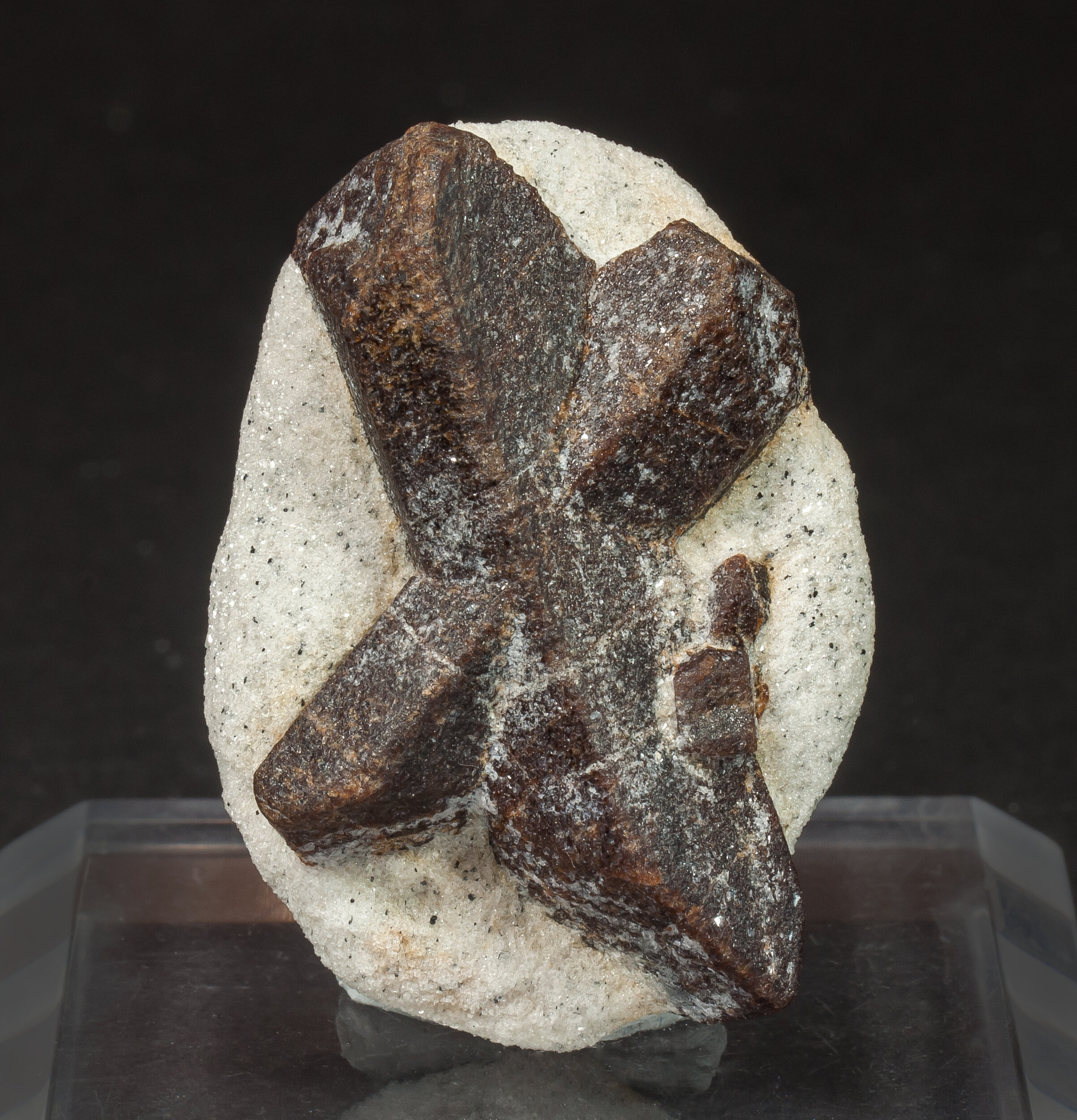 specimens/s_imagesCM/Staurolite-10EE58.jpg
