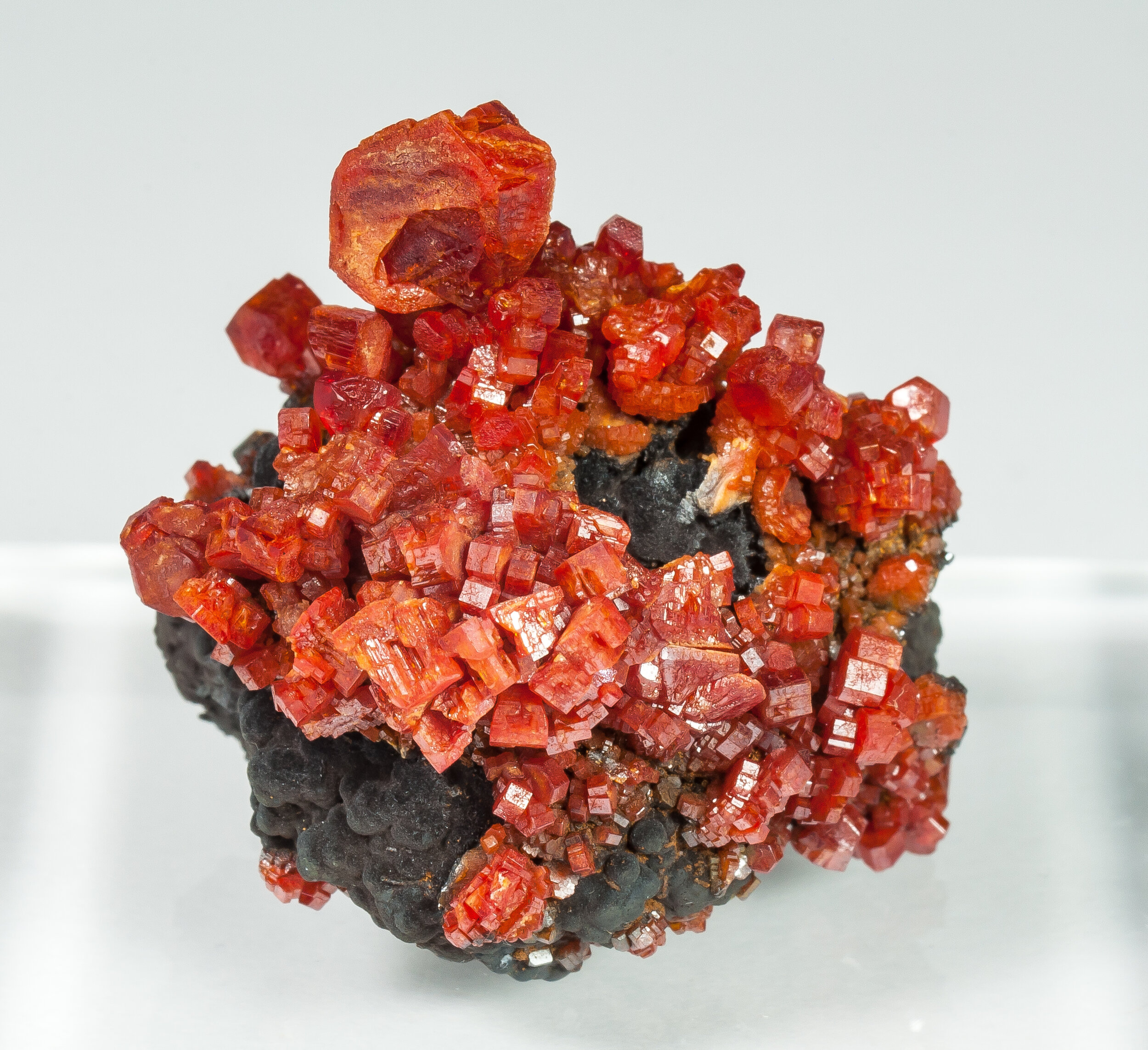 specimens/s_imagesCM/Vanadinite-19TXE90_f.jpg