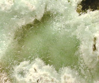 Minyulite and Crandallite. 