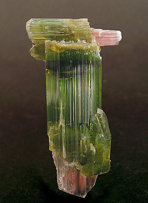 Sceptered Elbaite. 