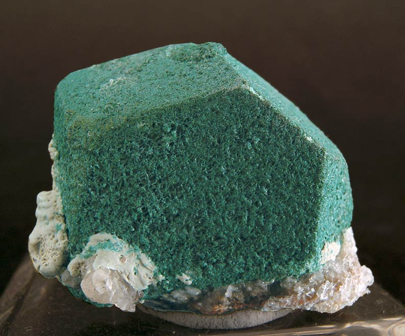 specimens/s_imagesD8/TX96D8.jpg