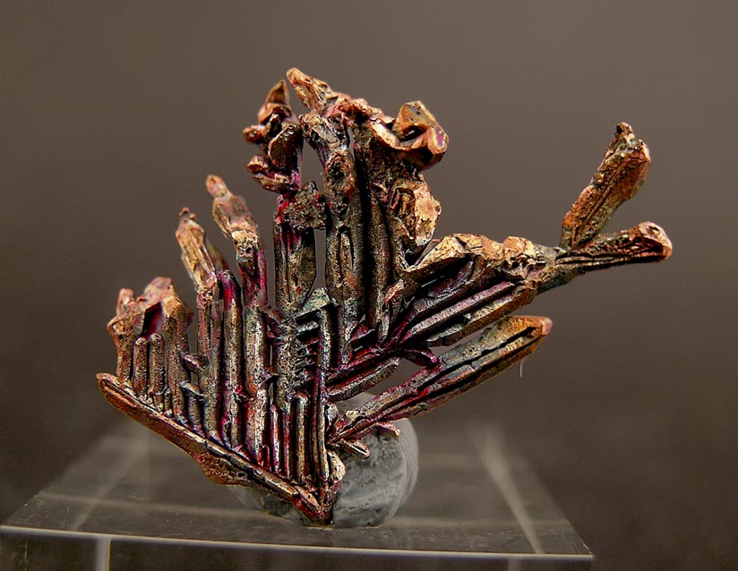 specimens/s_imagesE0/MB9E0r.jpg