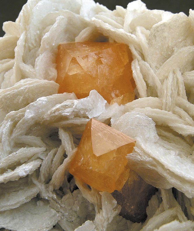 specimens/s_imagesE0/MJ38E0d.jpg