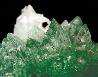 Fluorapophyllite-(K) with Stilbite. 