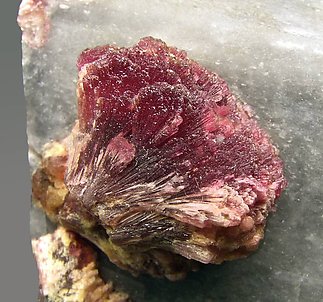Elbaite (variety rubellite) on Calcite. 