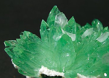 Fluorapophyllite-(K) with Stilbite. 