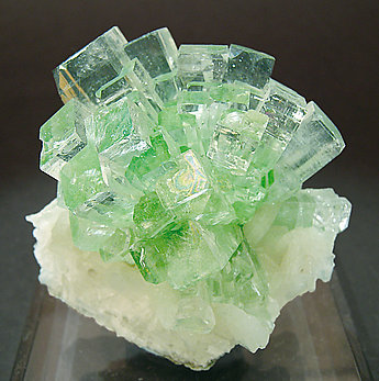 Fluorapophyllite-(K) with Stilbite. 