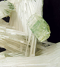 Scolecite with Fluorapophyllite-(K). 