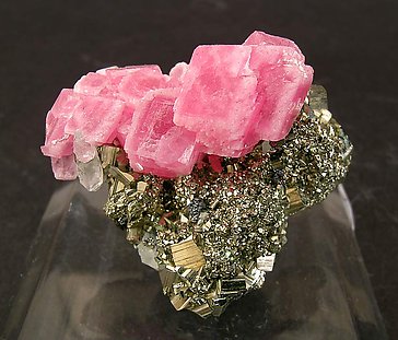 Rhodochrosite on Pyrite.