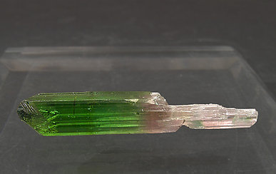 Sceptered Elbaite. 