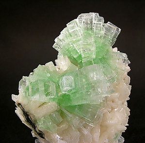 Fluorapophyllite-(K) with Stilbite. 