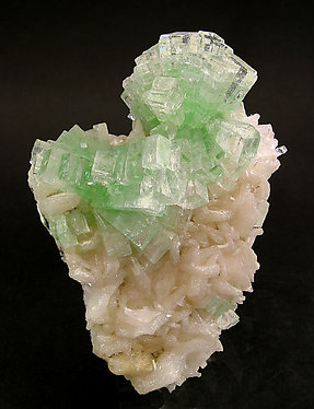 Fluorapophyllite-(K) with Stilbite.