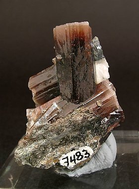 Pyromorphite. Rear