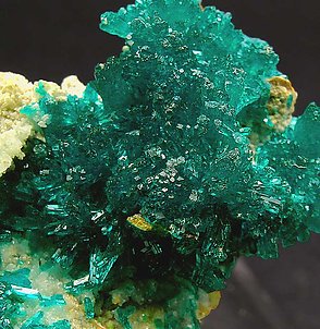 Dioptase with Wulfenite. 