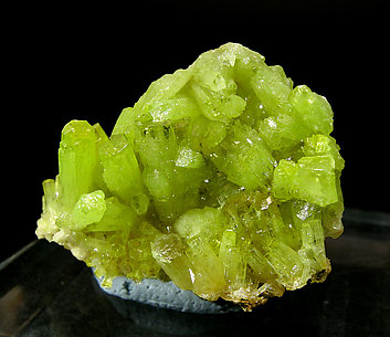 Pyromorphite. 