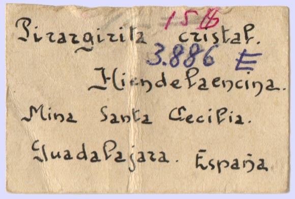 specimens/s_imagesF9/RD89F9e.jpg