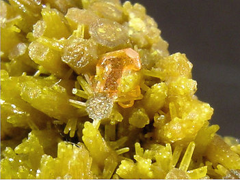 Mimetite with Pyromorphite and Wulfenite. 