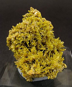 Mimetite with Pyromorphite and Wulfenite.