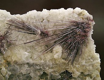 Kermesite on Calcite. 