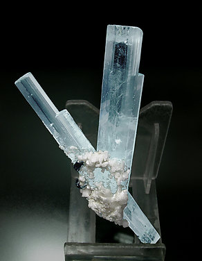 Beryl (variety aquamarine) with Albite and Schorl. Rear