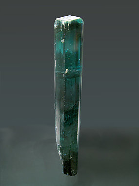 Doubly terminated Elbaite (variety indicolite). Front