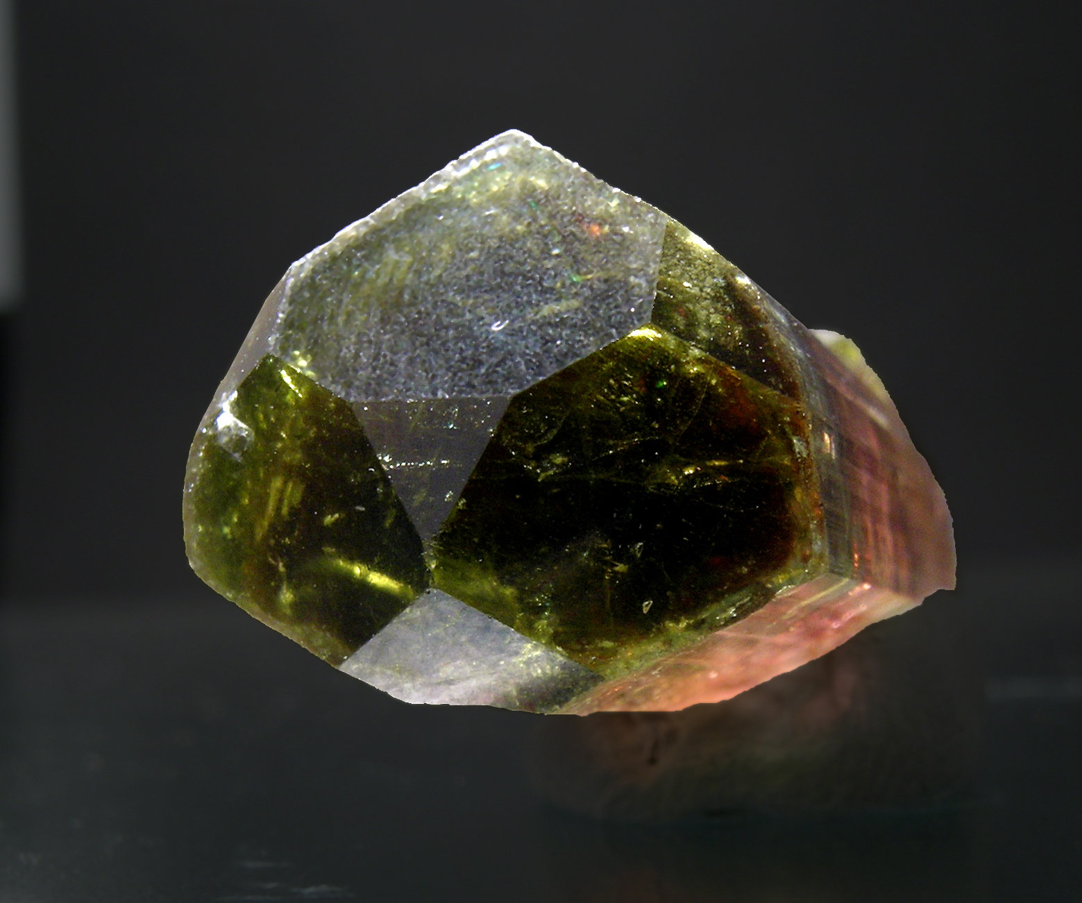 specimens/s_imagesG5/MV89G5t.jpg