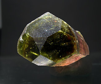 Tourmaline (Group). Top