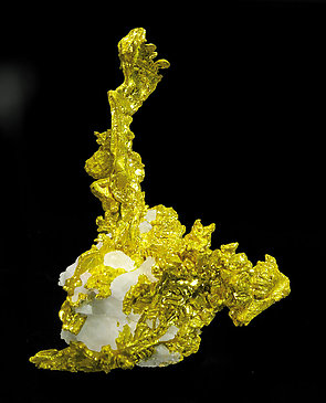 Gold with Quartz. 