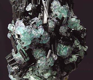 Fluorite on Schorl. 