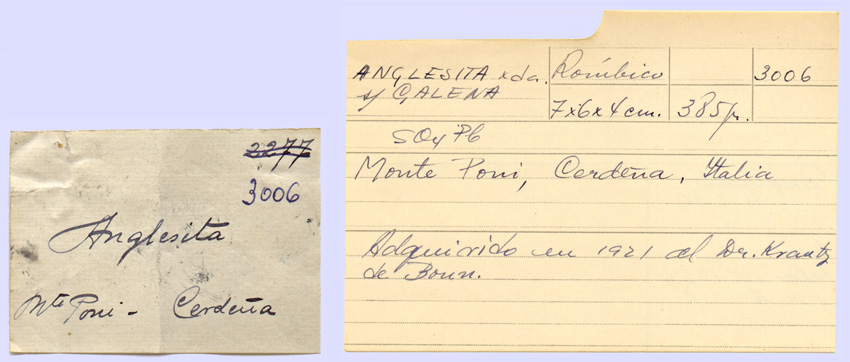 specimens/s_imagesG6RF/RF89G6e.jpg