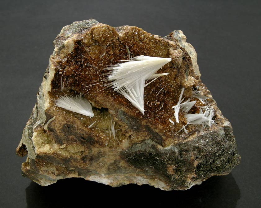 specimens/s_imagesG8/N88DG8.jpg